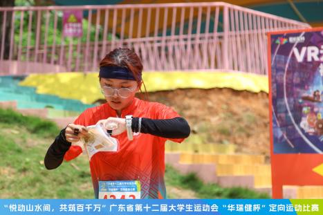 球速体育