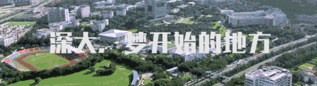 球速体育
