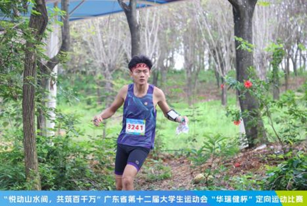 球速体育