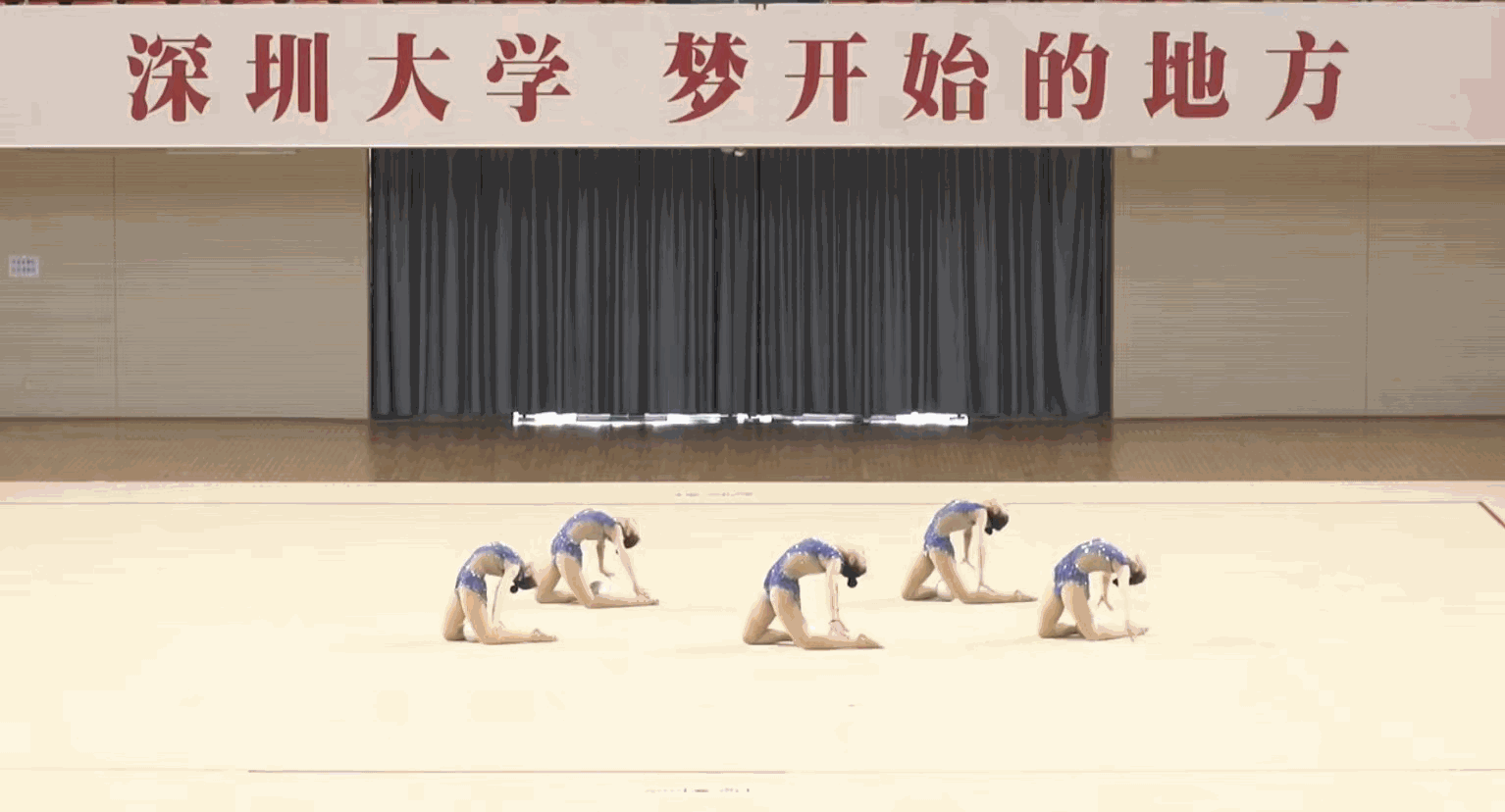 球速体育